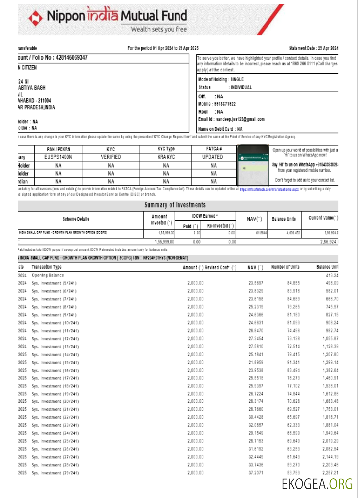 Modèle de relevé bancaire INDIA NIPPON, format Word et PDF